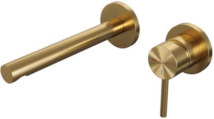 Brauer Gold Edition Inbouw Wastafelmengkraan met Rechte Uitloop en Rozetten Model A1 Goud Geborsteld PVD