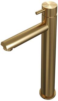 Brauer Gold Edition Verhoogde Opbouw Wastafelmengkraan Model B Goud Geborsteld PVD
