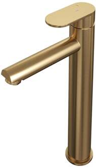 Brauer Gold Edition Verhoogde Opbouw Wastafelmengkraan Model C Goud Geborsteld PVD