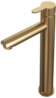Brauer Gold Edition Verhoogde Opbouw Wastafelmengkraan Model D Goud Geborsteld PVD