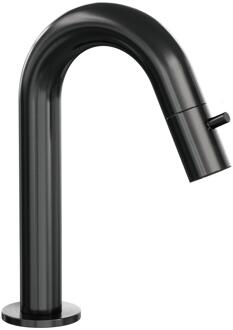 Brauer Gunmetal Edition Fonteinkraan - Gebogen Uitloop. Geborsteld PVD