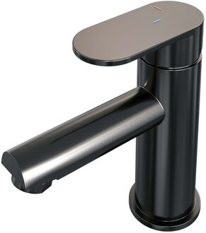 Brauer Gunmetal Edition Wastafelmengkraan opbouw - laag - model C - PVD - geborsteld gunmetal 5-GM-001-HD3 Gunmetal geborsteld PVD (antraciet)