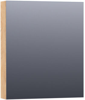 Brauer Impress Deluxe spiegelkast - 60x70x15cm - interne en externe verlichting - 1 rechtsdraaiende dubbelzijdige spiegeldeur Forest Tan SK-IMD60RFT Nomad