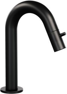 Brauer Opbouw Fonteinkraan Brauer Black Edition Met Gebogen Uitloop Mat Zwart Brauer