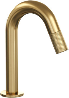 Brauer Opbouw Fonteinkraan Brauer Gold Carving Edition Met Gebogen Uitloop Goud Geborsteld PVD Brauer