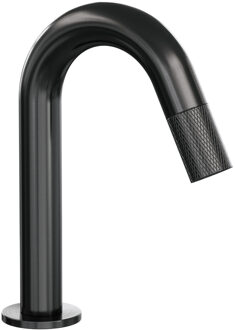 Brauer Opbouw Fonteinkraan Brauer Gunmetal Carving Edition Met Gebogen Uitloop Gunmetal Geborsteld PVD Brauer