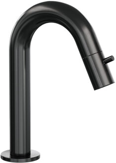 Brauer Opbouw Fonteinkraan Brauer Gunmetal Edition Met Gebogen Uitloop Gunmetal Geborsteld PVD Brauer