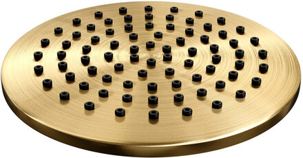 Brauer Regendouche Kop Brauer Gold Edition 20 cm Geborsteld Goud Brauer