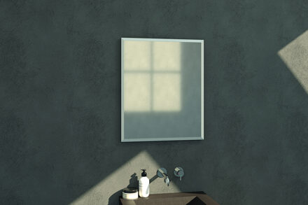Brauer Silhouette 60x70cm spiegel met RVS look omlijsting