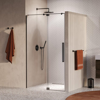 Brauer Stellar nisdeur 2-delig draaiend helder glas 120x200 omkeerbaar incl. glascoating PVD gunmetal geborsteld