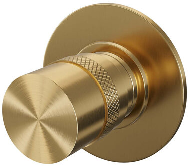 Brauer Stopkraan Brauer Gold Edition met Ronde Knop en Ronde Rozet Geborsteld Goud