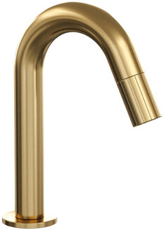 Brauer Stripe Fonteinkraan - opbouw - gebogen uitloop - goud geborsteld PVD 5-GG-464