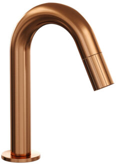 Brauer Stripe Fonteinkraan - opbouw - gebogen uitloop - koper geborsteld PVD 5-GK-464