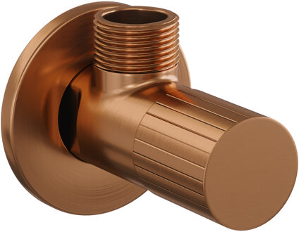 Brauer Stripe hoekstopkraan compleet met slang koper geborsteld PVD