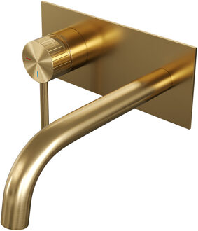 Brauer Stripe Inbouw Wastafelmengkraan - gebogen uitloop en afdekplaat - model A2 - goud geborsteld PVD 5-GG-333