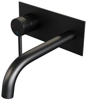 Brauer Stripe Inbouw Wastafelmengkraan - gebogen uitloop en afdekplaat - model A2 - mat zwart 5-S-333