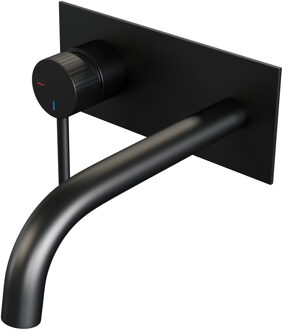 Brauer Stripe Inbouw Wastafelmengkraan - gebogen uitloop en afdekplaat - model A2 - mat zwart 5-S-333