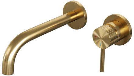 Brauer Stripe Inbouw Wastafelmengkraan - gebogen uitloop en rozetten - model A1 - goud geborsteld PVD 5-GG-328