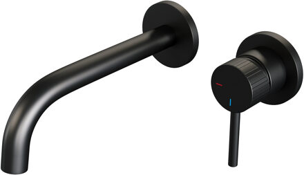 Brauer Stripe Inbouw Wastafelmengkraan - gebogen uitloop en rozetten - model A1 - mat zwart 5-S-328