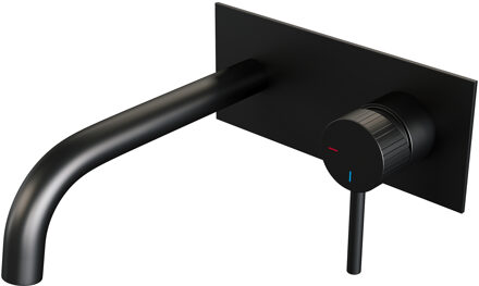 Brauer Stripe inbouw wastafelmengkraan met gebogen uitloop en afdekplaat model A1 mat zwart