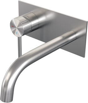 Brauer Stripe inbouw wastafelmengkraan met gebogen uitloop en afdekplaat model A2 RVS-kleurig geborsteld PVD