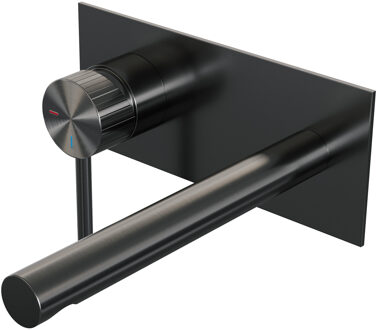 Brauer Stripe inbouw wastafelmengkraan met rechte uitloop en afdekplaat model A2 gunmetal geborsteld PVD