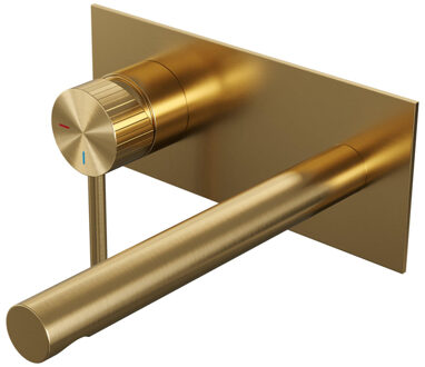 Brauer Stripe Inbouw Wastafelmengkraan - rechte uitloop en afdekplaat - model A2 - goud geborsteld PVD 5-GG-334