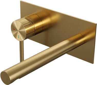 Brauer Stripe Inbouw Wastafelmengkraan - rechte uitloop en afdekplaat - model A2 - goud geborsteld PVD 5-GG-334