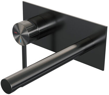 Brauer Stripe Inbouw Wastafelmengkraan - rechte uitloop en afdekplaat - model A2 - gunmetal geborsteld PVD 5-GM-334 gunmetal (antraciet)