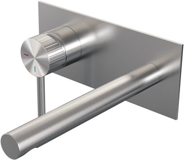 Brauer Stripe Inbouw Wastafelmengkraan - rechte uitloop en afdekplaat - model A2 - RVS-kleurig geborsteld PVD 5-NG-334