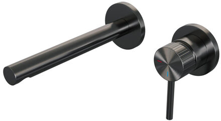 Brauer Stripe Inbouw Wastafelmengkraan - rechte uitloop en rozetten - model A1 - gunmetal geborsteld PVD 5-GM-331 gunmetal (antraciet)