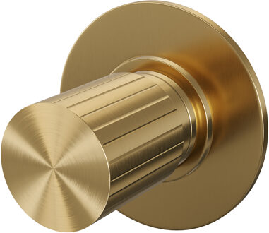Brauer Stripe losse inbouw stopkraan met in- en afbouwdelen goud geborsteld PVD