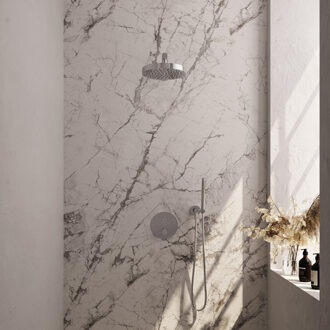 Brauer Stripe Thermostatische Inbouw Regendouche - 3-weg - rond - SET 37 - 25cm douchekop - rechte muurarm - staaf handdouche - doucheslang - wandaansluitbocht - chroom 5-CE-437