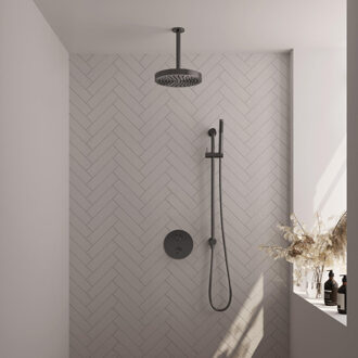 Brauer Stripe Thermostatische Inbouw Regendouche - 3-weg - rond - SET 45 - 25cm douchekop - plafondarm - staaf handdouche - doucheslang - geïntegreerde glijstang - gunmetal geborsteld PVD 5-GM-453 gunmetal (antraciet)