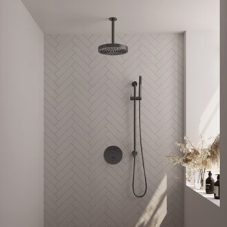 Brauer Stripe Thermostatische Inbouw Regendouche - 3-weg - rond - SET 45 - 25cm douchekop - plafondarm - staaf handdouche - doucheslang - geïntegreerde glijstang - gunmetal geborsteld PVD 5-GM-453 gunmetal (antraciet)