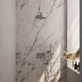 Brauer Stripe Thermostatische Inbouw Regendouche - drukknoppen - 25cm douchekop - rechte muurarm - staaf handdouche - doucheslang - wandaansluitbocht - RVS-kleurig geborsteld PVD 5-NG-413