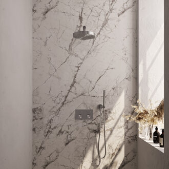 Brauer Stripe Thermostatische Inbouw Regendouche - drukknoppen - 25cm douchekop - rechte muurarm - staaf handdouche - doucheslang - wandaansluitbocht - RVS-kleurig geborsteld PVD 5-NG-413