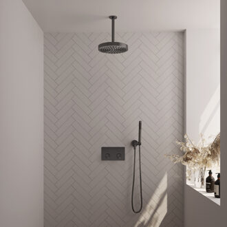Brauer Stripe Thermostatische Inbouw Regendouche - drukknoppen - SET 27 - 25cm douchekop - plafondarm - staaf handdouche - doucheslang - wandaansluitbocht - gunmetal geborsteld PVD 5-GM-417 gunmetal (antraciet)