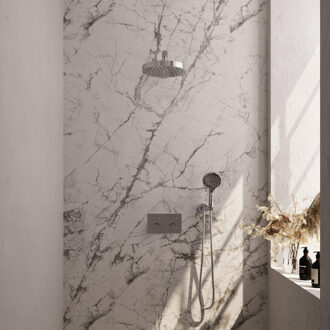 Brauer Stripe Thermostatische Inbouw Regendouche - drukknoppen - SET 28 - 25cm douchekop - rechte muurarm - 3-standen handdouche - doucheslang - wandaansluitbocht - chroom 5-CE-419