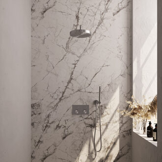 Brauer Stripe thermostatische inbouw regendouche met drukknoppen SET 26 met 25 cm douchekop en gebogen muurarm en staaf handdouche en doucheslang en wandaansluitbocht RVS-kleurig geborsteld PVD