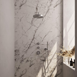 Brauer Stripe Thermostatische Inbouw Regendouche - SET 02 - 25cm douchekop - gebogen muurarm - staaf handdouche - doucheslang - wandaansluitbocht - RVS-kleurig geborsteld PVD 5-NG-367