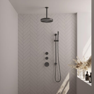 Brauer Stripe Thermostatische Inbouw Regendouche - SET 09 - 25cm douchekop - plafondarm - staaf handdouche - doucheslang - geïntegreerde glijstang - gunmetal geborsteld PVD 5-GM-381 gunmetal (antraciet)