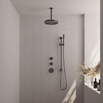 Brauer Stripe thermostatische inbouw regendouche SET 09 met 25 cm douchekop en plafondarm en staaf handdouche en doucheslang en geintegreerde glijstang gunmetal geborsteld PVD