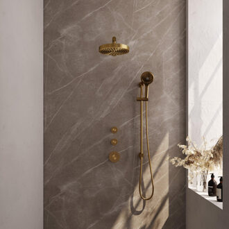 Brauer Stripe Thermostatische Inbouw Regendouche - SET 10 - 25cm douchekop - rechte muurarm - 3-standen handdouche - doucheslang - geïntegreerde glijstang - goud geborsteld PVD 5-GG-383