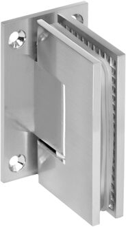 Brauer Wandscharnier 2 stuks PVD RVS-kleurig geborsteld