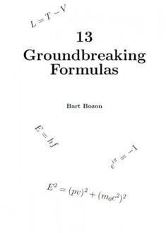 Brave New Books 13 Groundbreaking Formulas - Bart Bozon