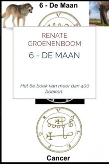 Brave New Books 6 - De Maan - Renate Groenenboom - ebook