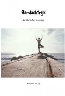 Brave New Books Aandachtrijk - Boek Annemieke Van Dijk (9402170855)