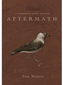 Brave New Books Aftermath - Tom Melsen