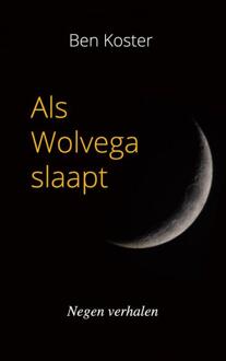 Brave New Books Als Wolvega slaapt